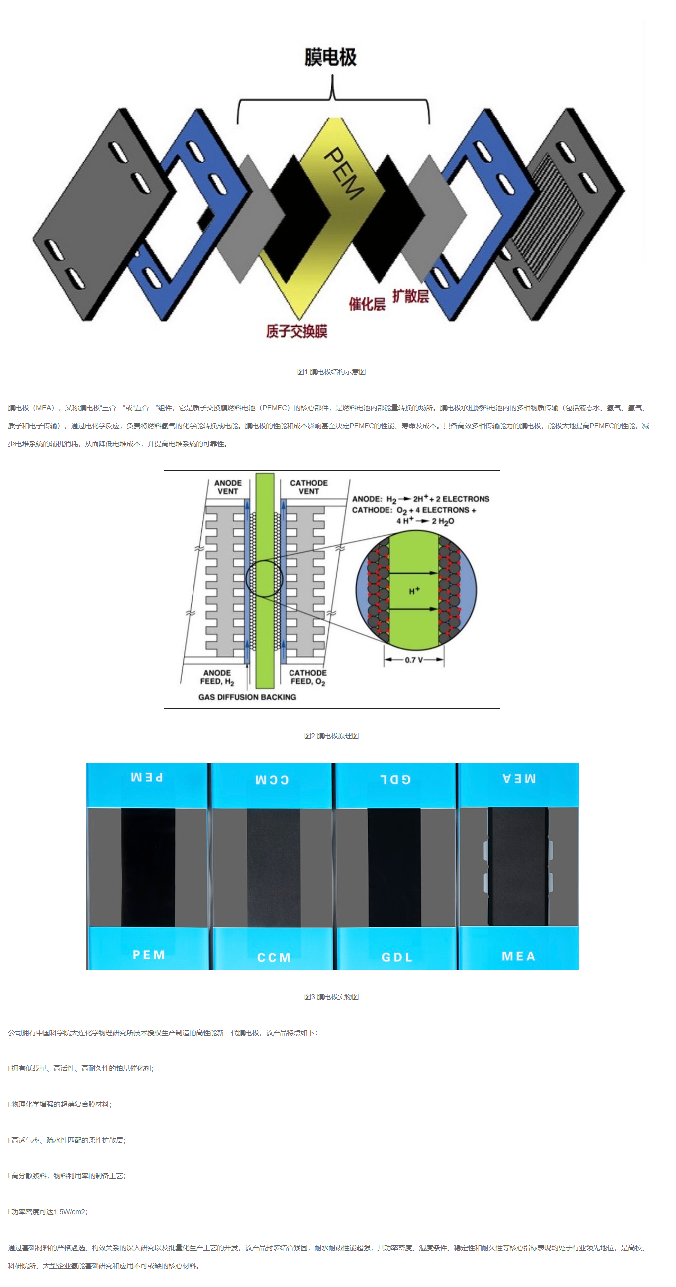 中能大友DAYO膜電極（MEA）測試配件.png